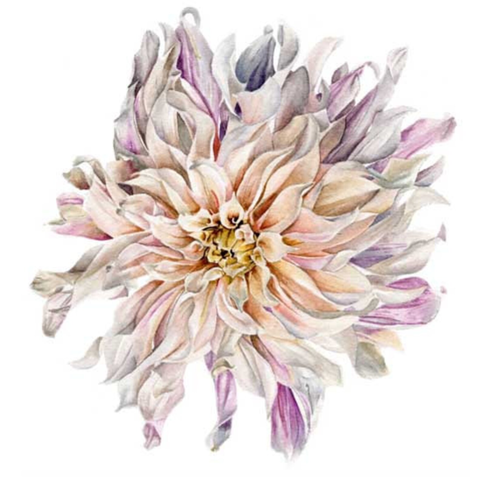 Dahlia Flower Print, Botanical Illustration, Watercolor Art, Floral