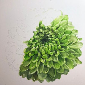 Original Green Flower Watercolor Wall Art, Gifts for Her, Floral Paintings, Feminine Decor, Botanical art, Gardener Gift, Mums image 5