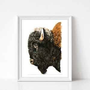 Bison Art, Animal Art, Southwestern Decor, Bison Painting, Bison Print