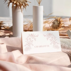 Toile-plaatskaarten Roze bloemen Naamkaarten bruiloft Chinoiserie babyshower voedseletiketten, kaarten vintage bruidsbuffet Tentkaarten
