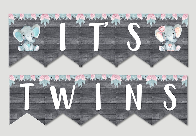 it's twins baby shower decorations