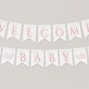May include: White banner with pink floral designs and the words "WELCOME BABY" in pink letters.