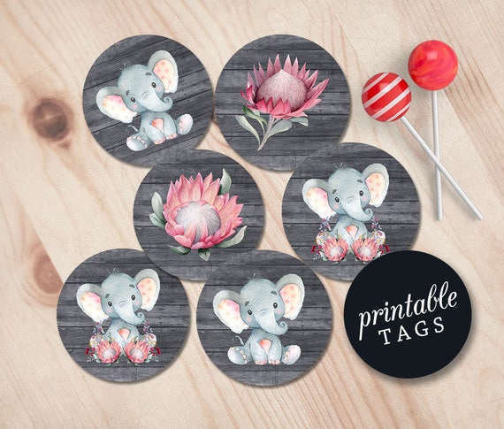 Free Printable Elephant Cupcake Toppers Printable Treats