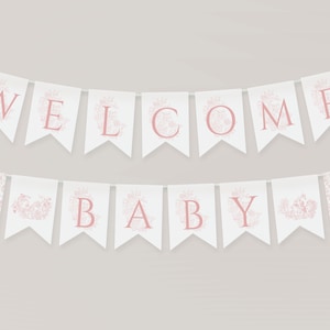 Girl baby shower banner Pink floral vintage Garland Toile baby sprinkle decoration Chinoiserie baby shower Bunting flags