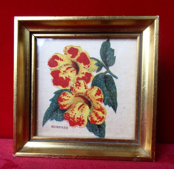 Antique Small  Stenciled Mimulus Flowers Print on Beige Silk With Gilt Frame & Glass