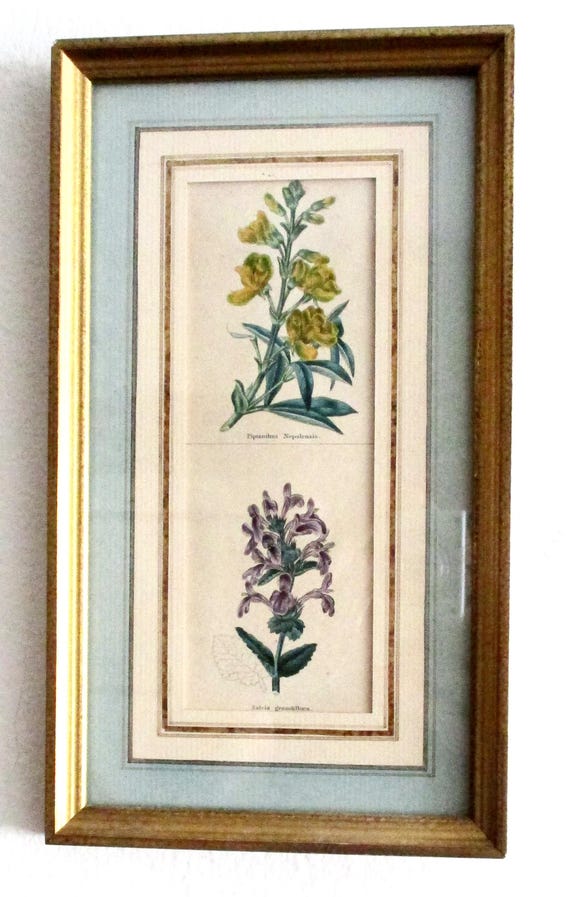Antique French Hand-Painted Lithograph With French Matte