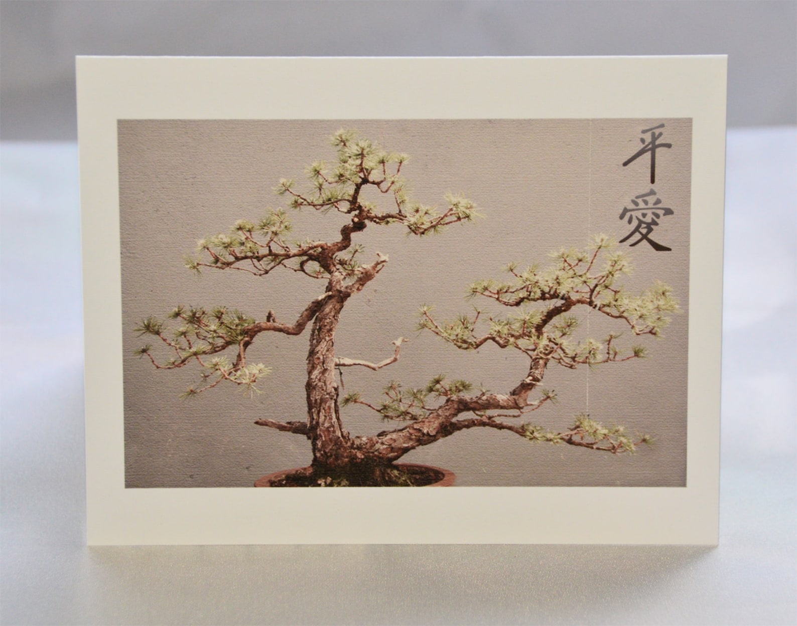 Pitch Pine Bonsaibonsai Treeblank Notecardunique Cardetsy Etsy