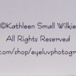 May include: A white background with black text. The text reads: &copy;Kathleen Small Wilkie, All Rights Reserved, and etsy.com/shop/eyeluvphotography. The text is in a simple, easy-to-read font.