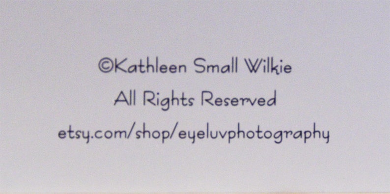 May include: A white background with black text. The text reads: &copy;Kathleen Small Wilkie, All Rights Reserved, and etsy.com/shop/eyeluvphotography. The text is in a simple, easy-to-read font.