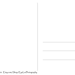 May include: Blank white postcard with lines for the address and a box for the stamp. The postcard has a vertical line on the left side. The bottom of the postcard has the text "Kathleen Small Wilkie Etsy.com/Shop/EyeLuvPhotography".