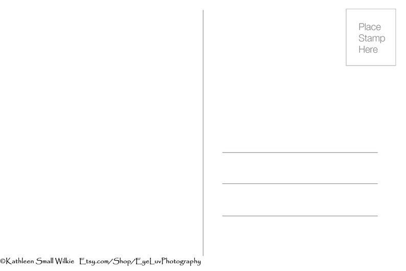 May include: Blank white postcard with lines for the address and a box for the stamp. The postcard has a vertical line on the left side. The bottom of the postcard has the text "Kathleen Small Wilkie Etsy.com/Shop/EyeLuvPhotography".