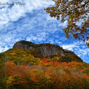 paisaje de otoño, White Mountains NH, follaje colorido, regalo único, idea de regalo, fotografía de paisaje, follaje de otoño, hojas coloridas, Etsy encontrar