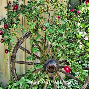 antique wagon wheel,rustic wagon wheel,old wagon wheel,wood wagon wheel,flowers,unique gift,gift idea,wall art,home decor,Etsy find