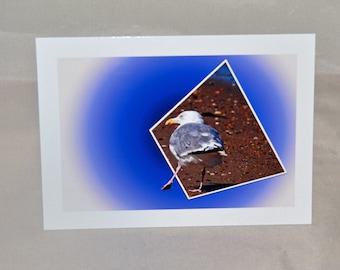 Funny Seagull Photo Greeting Card, Humorous Bird Notecard