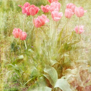 Roze tulpen, blanco notitiekaart, unieke kaart, Etsy vinden, foto notitiekaart, bloemen notitiekaart, beeldende kunst fotografie, lente thema, alle gelegenheid kaart, voor haar