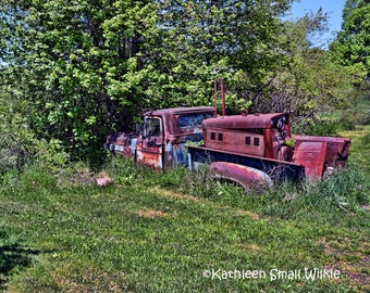 Vintage Ford Truck Photo Print, Rustic Farmhouse Wall Art