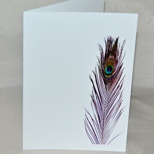 Pfau Feder Karte, leere Notecard, Etsy finden, Foto-Karte, alle Gelegenheit Karte, einfache Schönheit, schillernde Farbe, Feder Kunst, bunte Karte