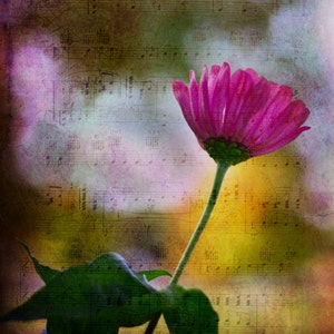 Lila Blume,Blanko Karte,Einzigartige Karte,Etsy-Fund,Foto-Notizkarte,florale Notizkarte,blanko Fotokarte,Frühlingsmotiv,trending,all occasion card