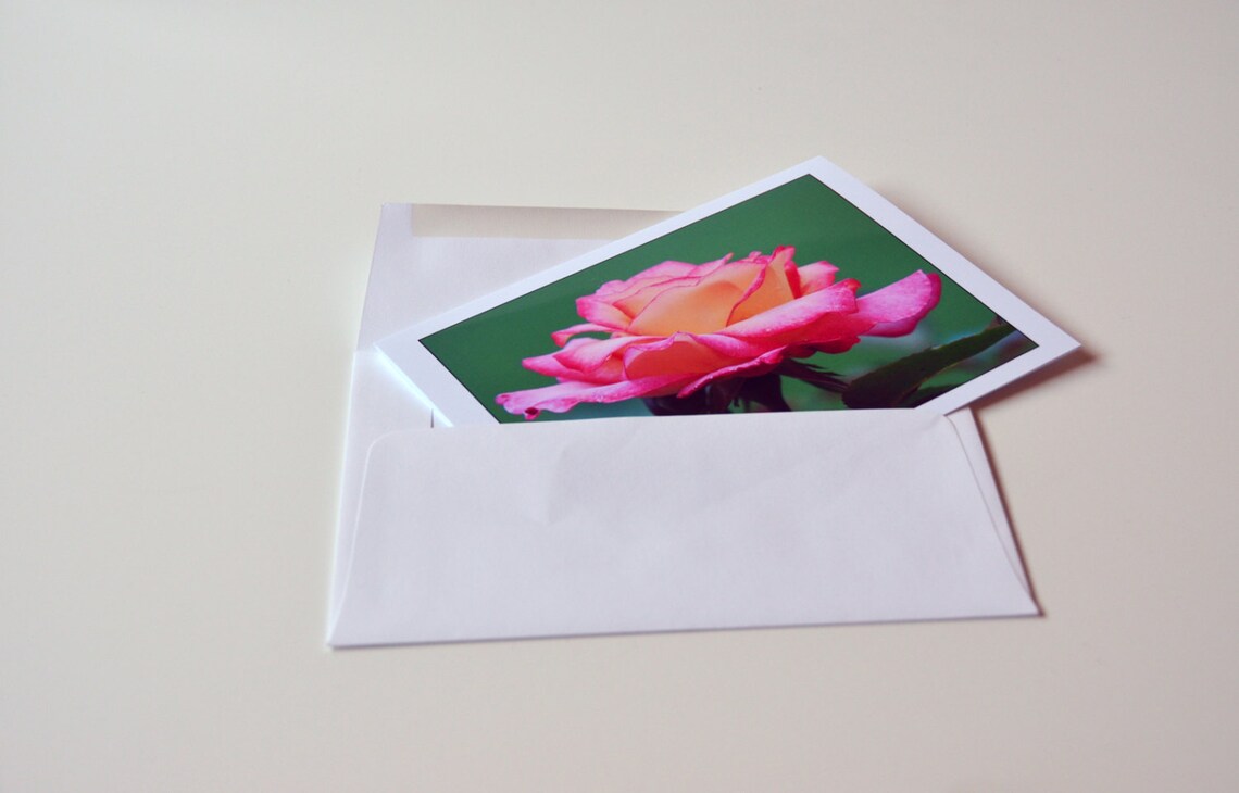 Pink & Yellow Rose,blank Notecard,unique Card,etsy Find,photo Notecard ...