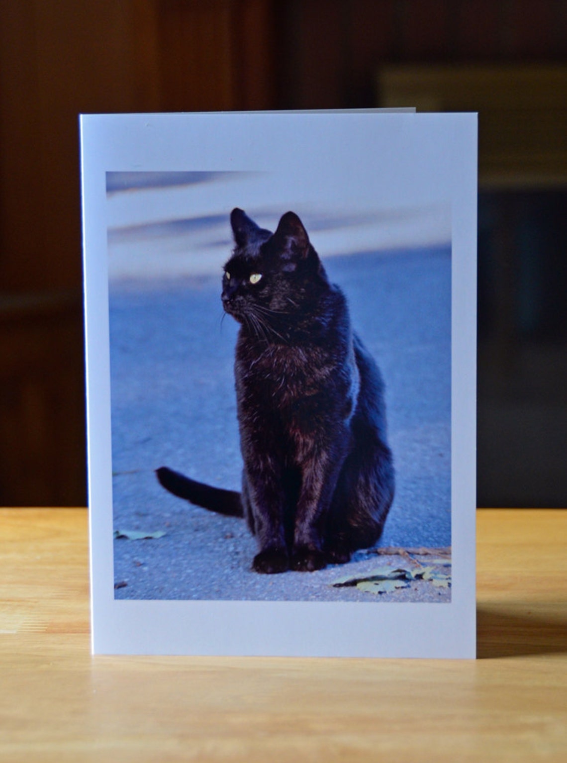 Black Cat Notecard,cute Greeting Card,photo Notecard,animal Photography ...