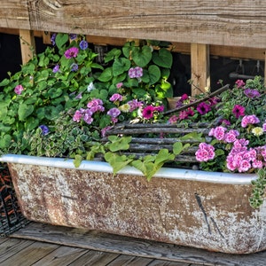 Tub voller Blumen,Blanko-Karte,einzigartige Karte,Foto-Notizkarte,florale Notizkarte,einzigartige Fotokarte,Etsy-Fund,alle Gelegenheitskarte,trending