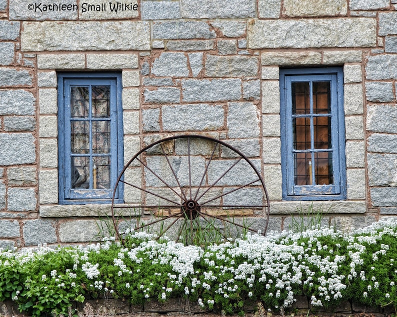 Blaue Fenster alte Steingebäude Connecticut weiße Blumen