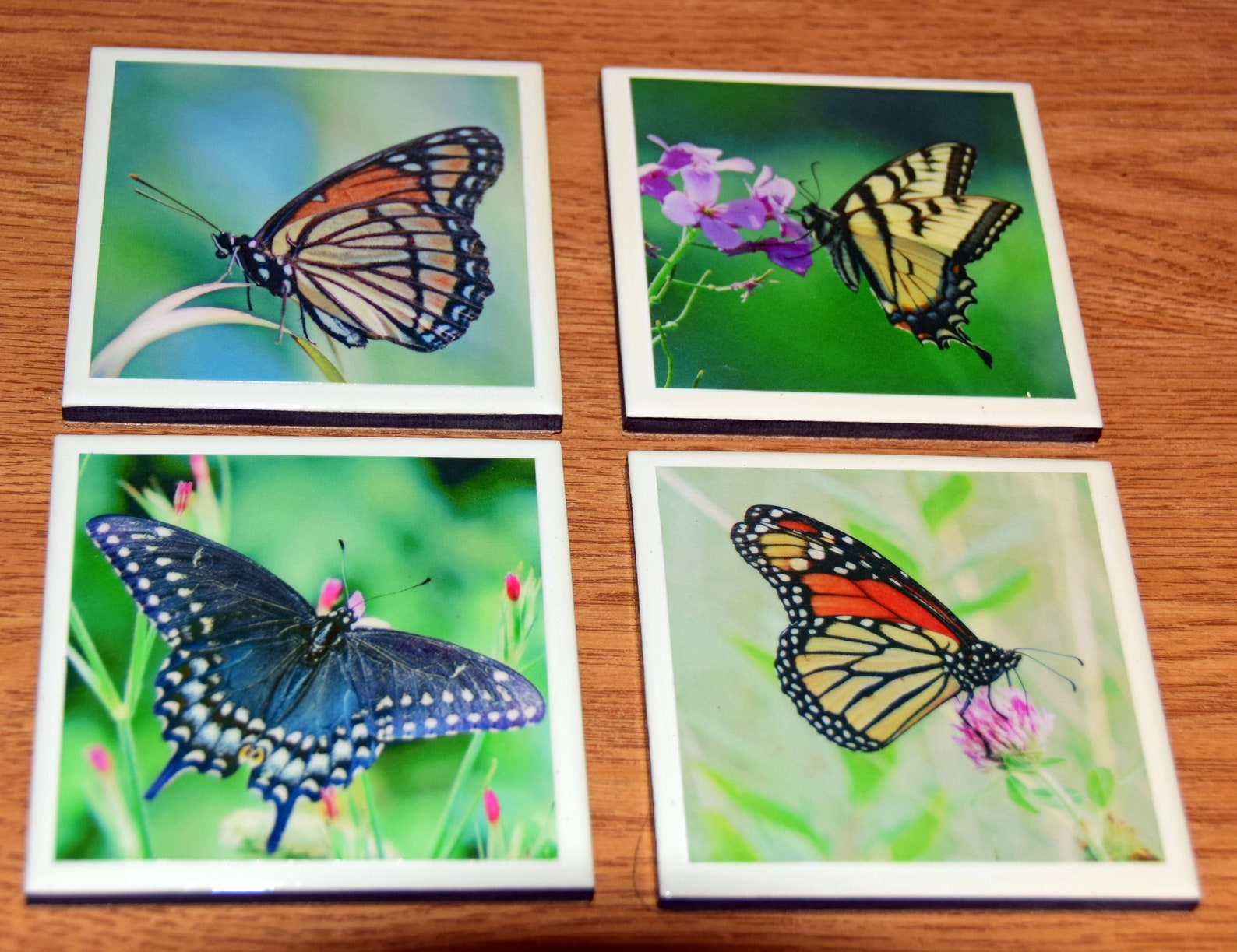 Ceramic Tile Butterfly Coasters Set of 4 Etsy