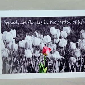 Tulpenfeld, eine Farbauswahl, für die beste Freundin, Fotokarte, Blumenmuster, für die beste Freundin, Blumenmuster,Etsy Fund,beste Freunde
