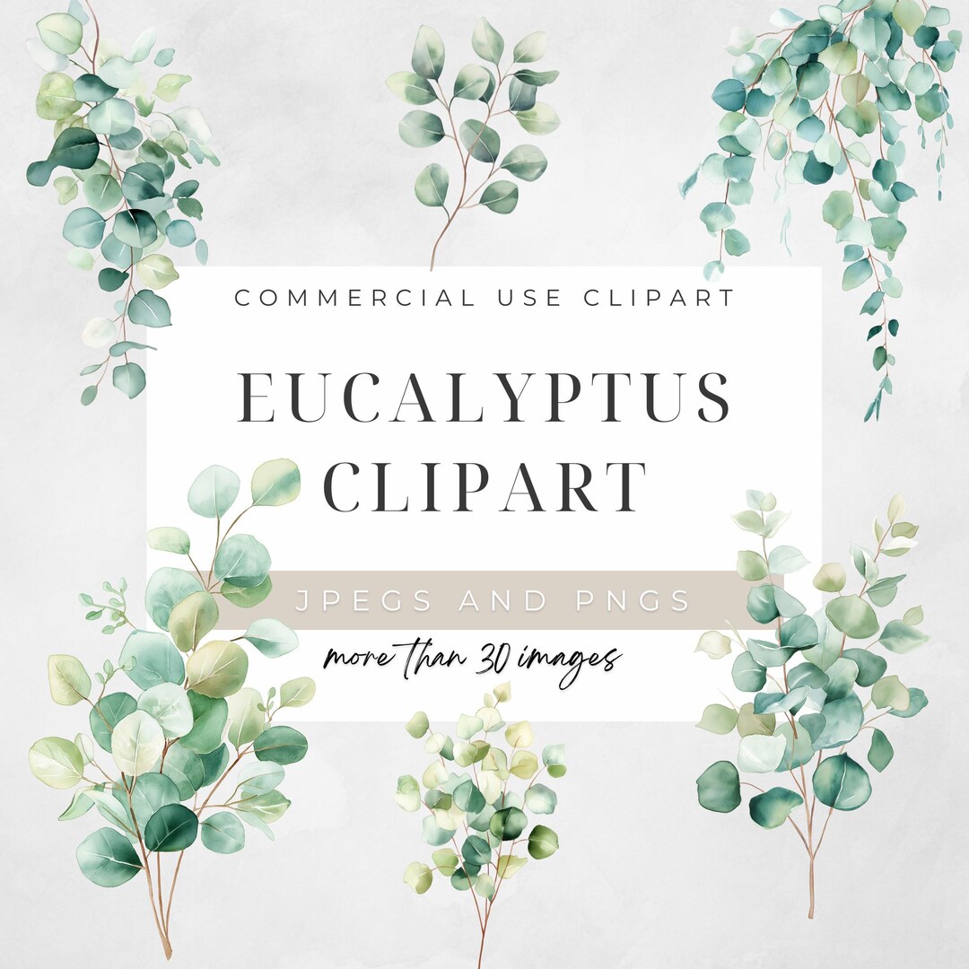 Watercolor Eucalyptus Wedding Clipart, Greenery PNG, Digital Download ...