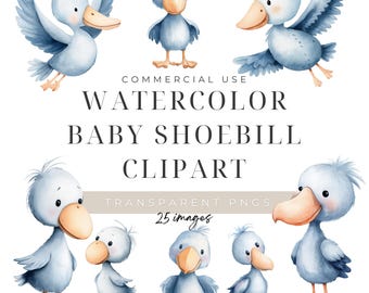 Baby Shoebill Clipart, Digital Download, Exotic Stork Birds, Wildlife Zoo Animals, Commercial Use
