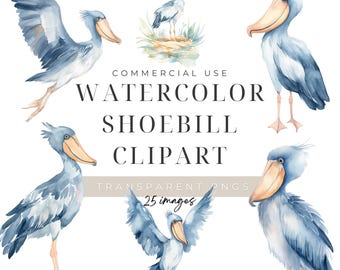 Watercolor Shoebill Clipart, Digital Download, Exotic Birds, Wildlife Zoo Animals, Commercial Use