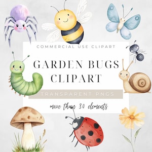 Puede incluir: Clipart de acuarela con varios insectos de jardín, incluyendo una araña, una abeja, una mariposa, una oruga, una hormiga, un caracol, una seta, una mariquita y una flor. Se muestra el texto "GARDEN BUGS CLIPART".