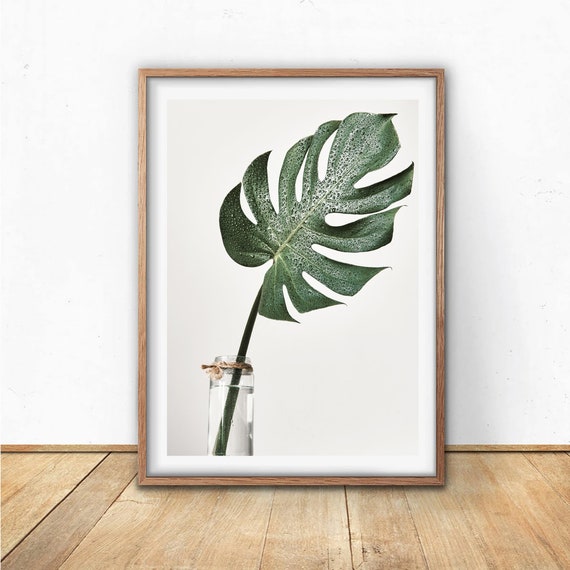 Printable Monstera Leaf Print, Printable Wall Art, Digital Download, 8x10  11x14 16x20, Botanical Prints, Boho House Plant, Dorm Art Decor by Positive  Dreaming Printables | Catch My Party