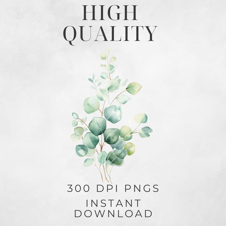 Watercolor Eucalyptus Wedding Clipart, Greenery PNG, Digital Download ...