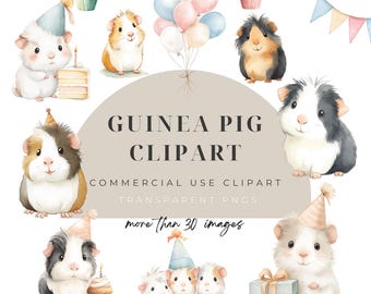 Guinea Pig Clipart, Watercolor Birthday Party PNG Graphics, Digital Download, Commercial Use