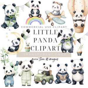 Può includere: Set di clipart ad acquerello con adorabili panda in varie pose. I panda sono mostrati con bambù, su un arcobaleno, in un aereo e in mongolfiera. È incluso anche il testo "Little Panda Clipart".