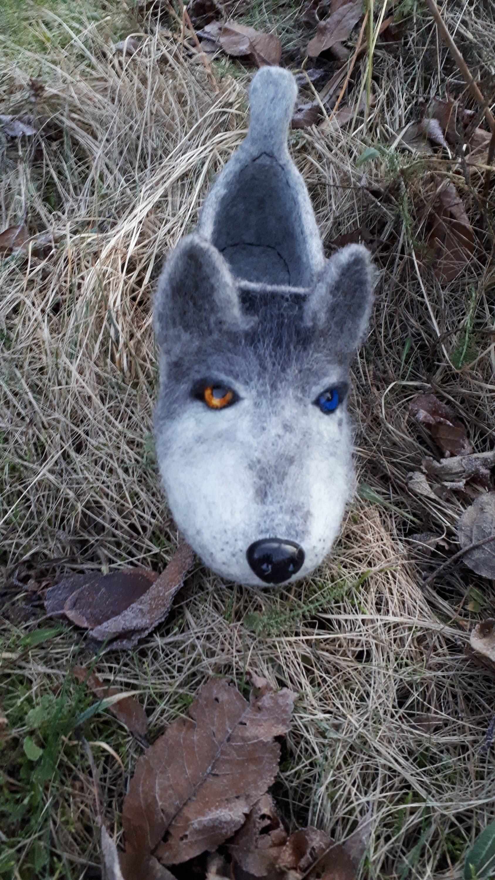 Wolf house shoes sale