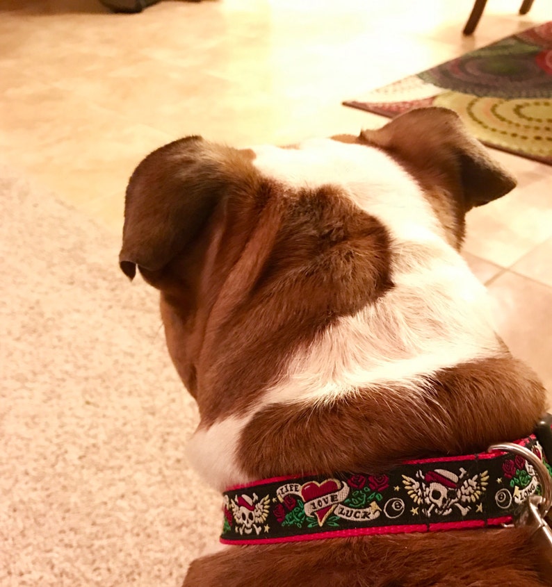 1 inch Dog collar Dog collar pet accesory red dog collar with black tone ribbon design pet jewerly Pet supplies