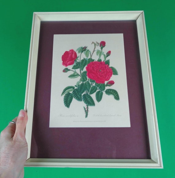 Vintage Retro Queen Anne Art Draw Picture Portrait Wall Hang Decor 40s 50s Mid Century Medium Frame Floral Home Room Accent Collectible Gift