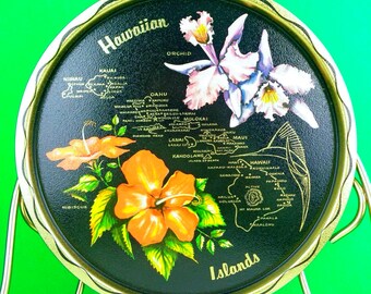 Bandeja de recuerdo vintage Show State, placa de recuerdo, decoración de hojalata, decoración hawaiana retro para la cocina o la pared