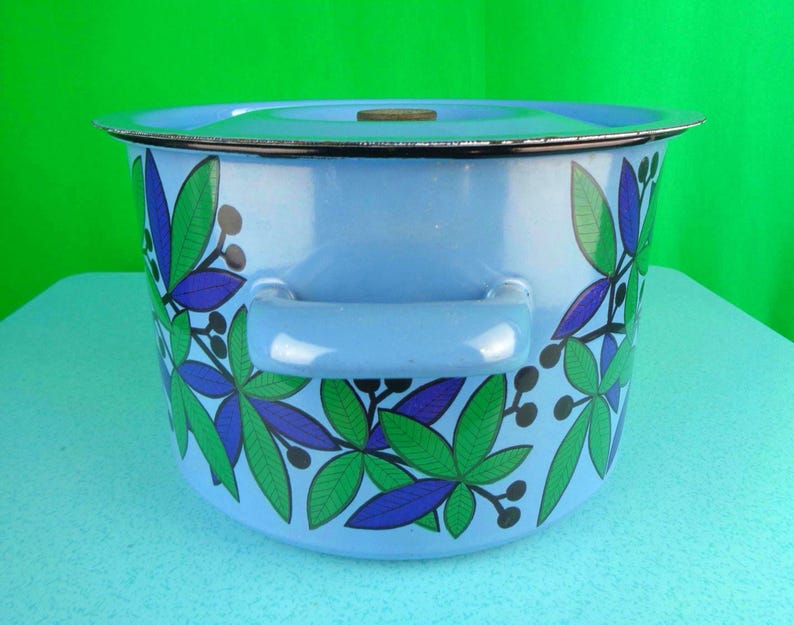 May include: A light blue enamel pot with a lid and two handles. The pot is decorated with a floral pattern in green and purple. The rim of the pot is silver. The pot is sitting on a light blue surface with a green background.