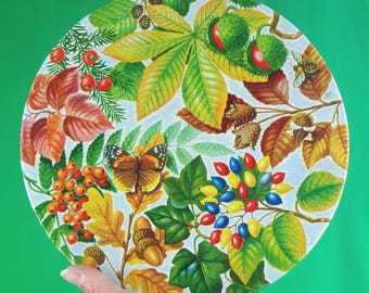 Vintage Peek Frean's Biscuit Tin: 50s 60s Playbox, England Storage Container Mid Century Decor