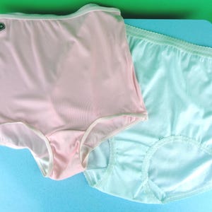 Vintage Retro LG Pink XL Blue Panties Pantaloons Briefs Underwear Undies 1960s 70s Intimates Undergarments Lingerie Sears Cou-Batten Gift
