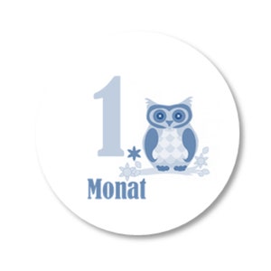 12 maanden sticker uil blauwe sticker baby mijlpalen