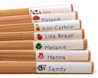 DIY 60 pen sticker schoolchild with name personalizes different motifs