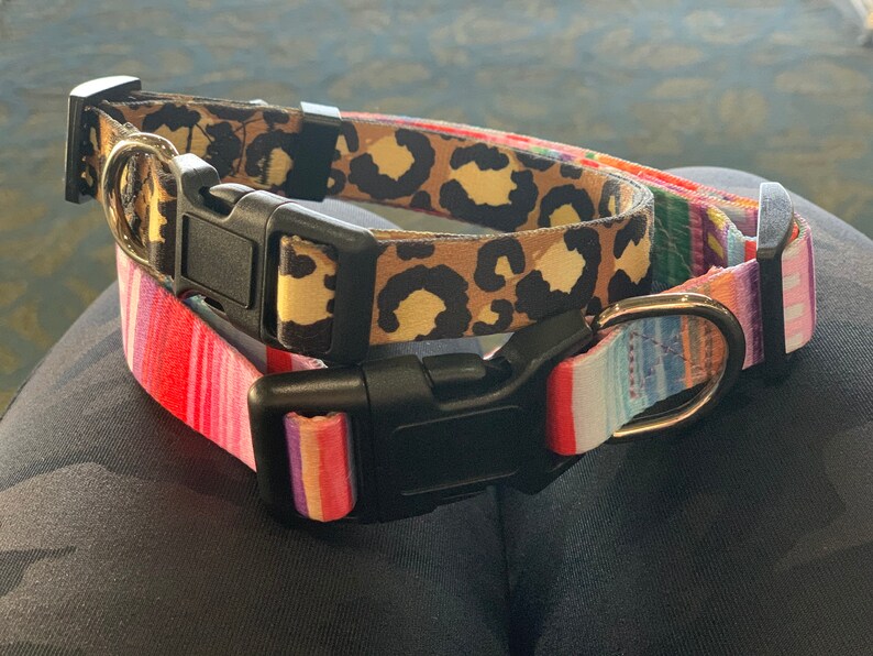 Leopard Print Dog Collar for Small Medium and Large Dogs. Etsy