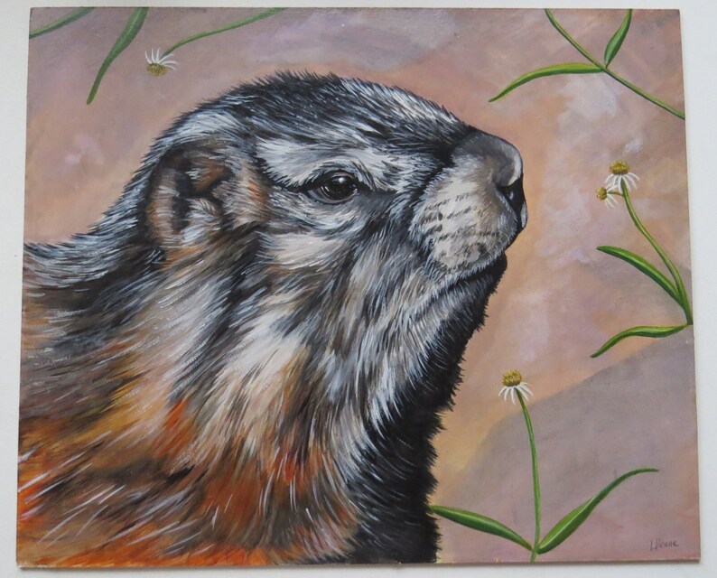 Yellow Bellied Marmot, Original Painting. American Wildlife