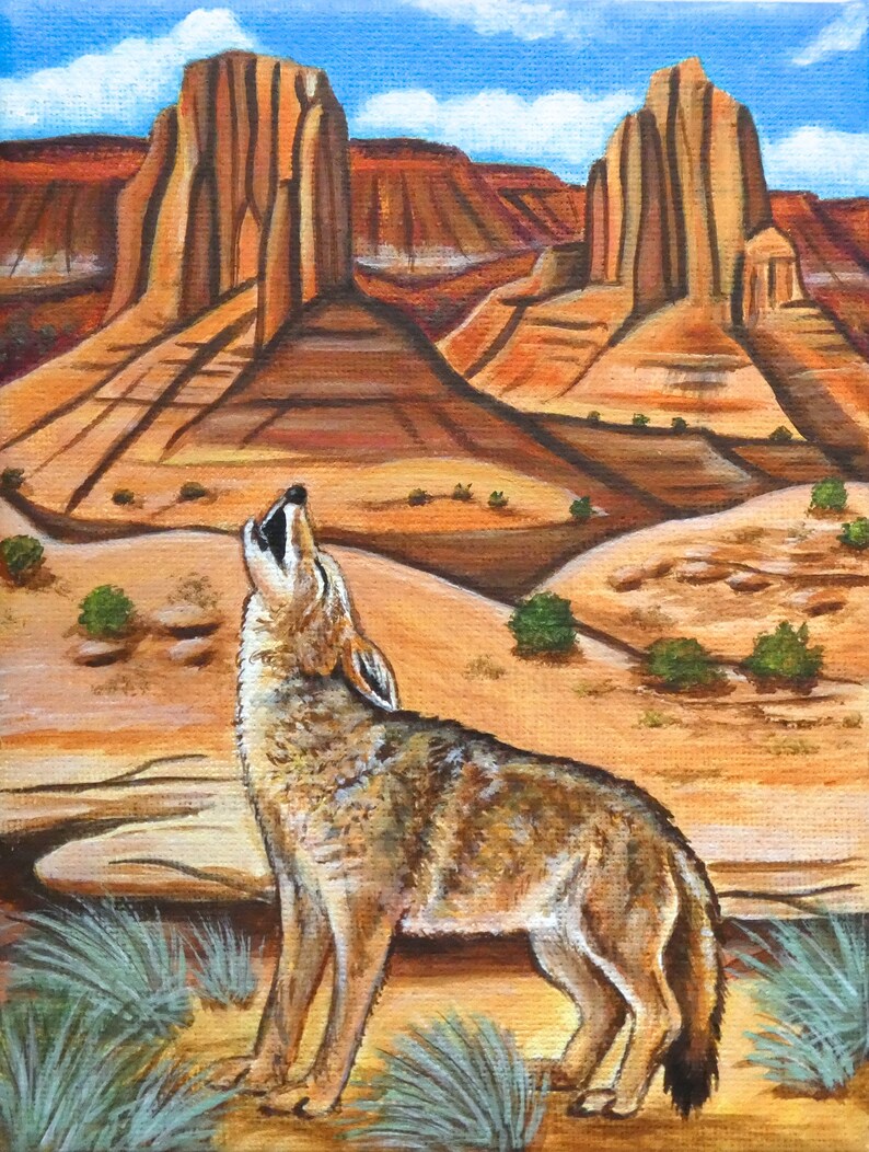coyote howling coyote howling