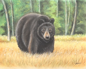Black Bear Original Pastel Painting: Forest Wildlife Art, Framed