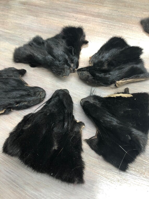 Black gamma mink coat cheap